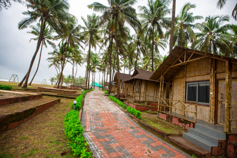Image of Diveagar