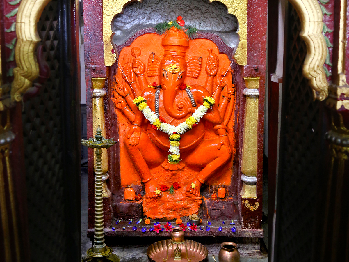 Image of Diveagar