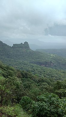 Image of Diveagar
