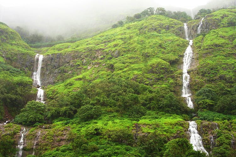 Image of Diveagar