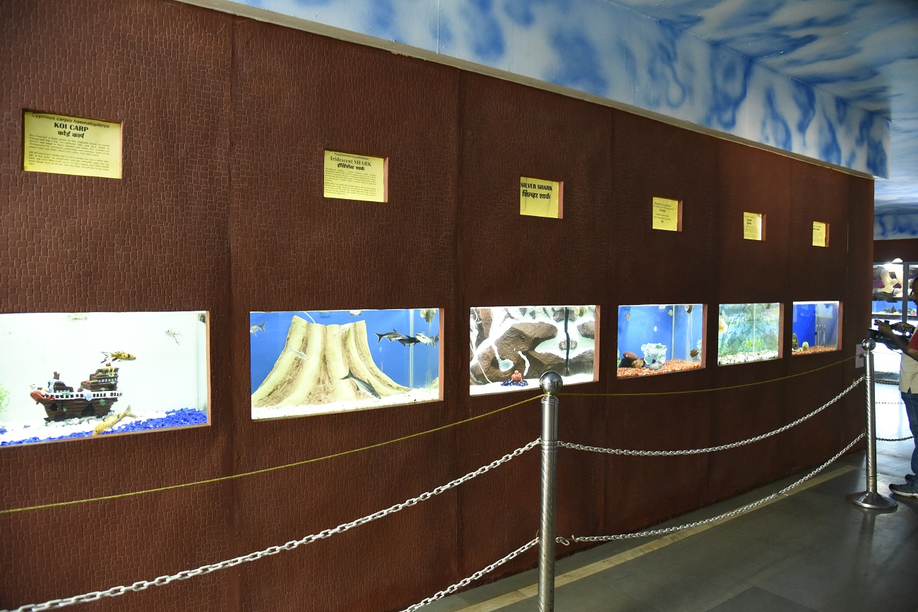 Image of Diveagar