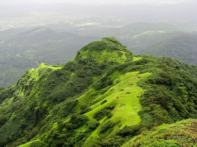 Image of Diveagar